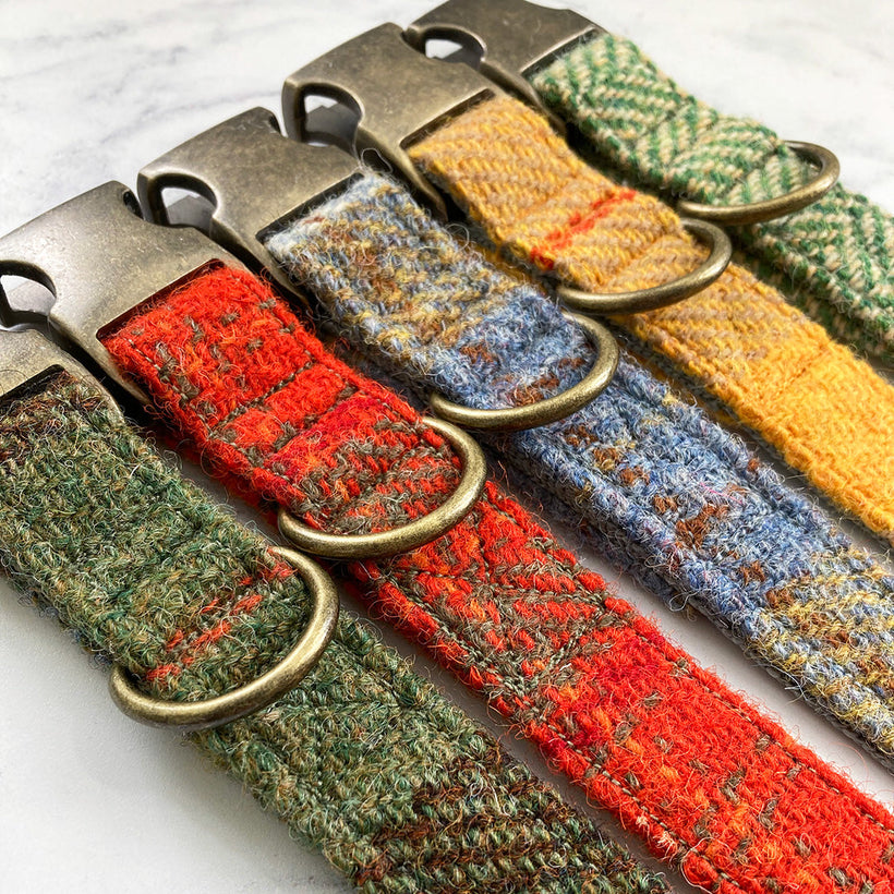 Tartan and Tweed - Dog Accessories