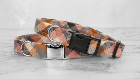 Dog Collar and Lead, Tartan with a Twist - Pumpkin Check