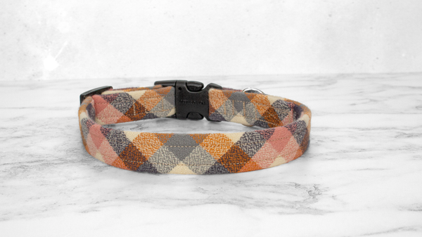 Dog Collar and Lead, Tartan with a Twist - Pumpkin Check