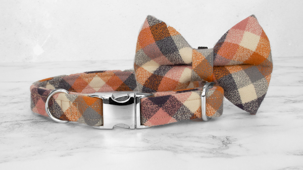 Dog Collar and Lead, Tartan with a Twist - Pumpkin Check