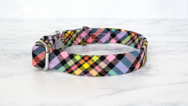 Dog Collar and Lead, Tartan with a Twist - Black Rainbow