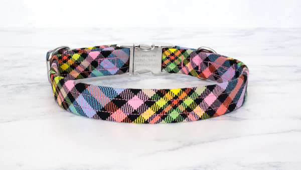 Dog Collar and Lead, Tartan with a Twist - Black Rainbow
