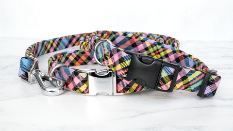 Dog Collar and Lead, Tartan with a Twist - Black Rainbow