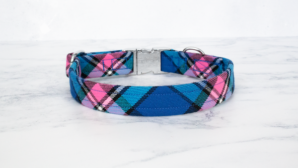 Dog Collar and Lead, Tartan with a Twist - Blue and Pink