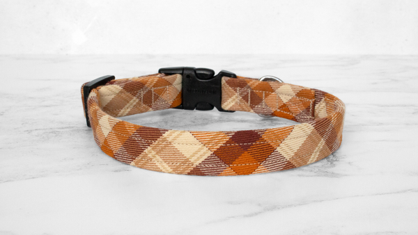 Dog Collar and Lead, Tartan with a Twist - Autumn Check