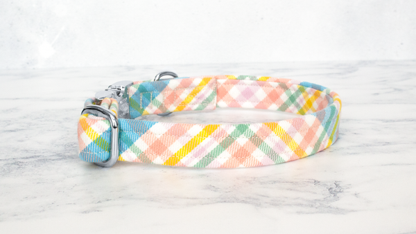 Dog Collar and Lead, Tartan with a Twist - Easter