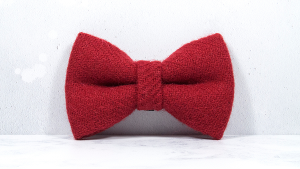 Dog Bow Ties, Harris Tweed®  - Bright Red