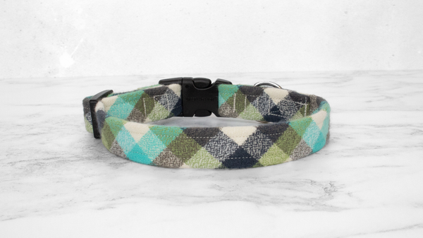 Dog Collar and Lead, Tartan with a Twist - Turquoise Check