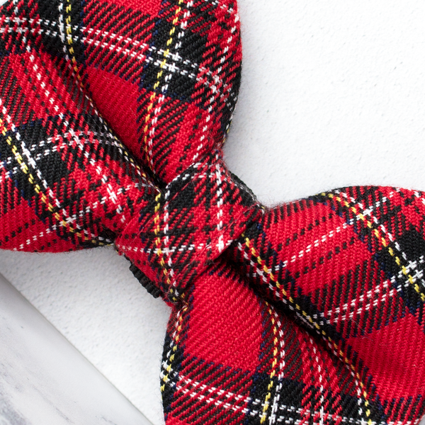Dog Bow Ties, Tartan with a Twist - Royal Stewart