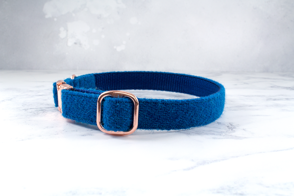Dog Collar Harris Tweed® - Electric Blue