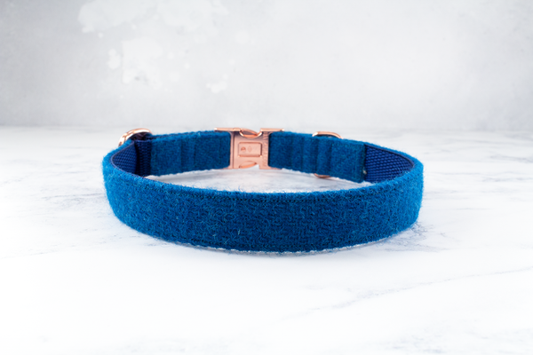 Dog Collar Harris Tweed® - Electric Blue
