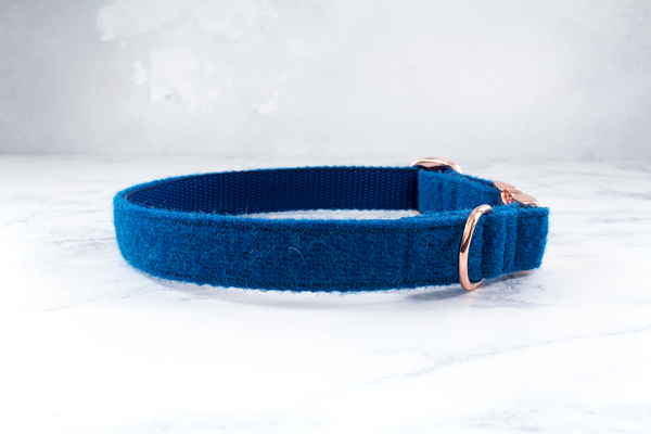 Dog Collar Harris Tweed® - Electric Blue