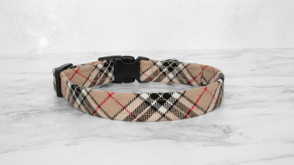 Dog Collar and Lead, Tartan with a Twist - Caramel