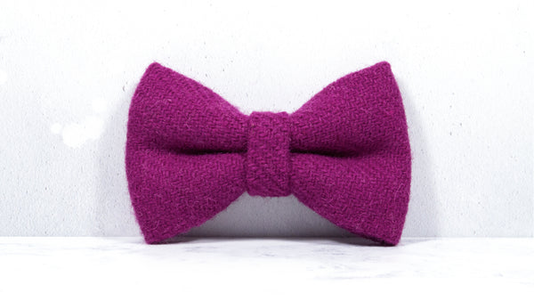 Dog Collar Harris Tweed® - Fuchsia Pink