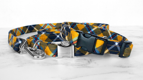 Dog Collar and Lead, Tartan with a Twist - Cornish