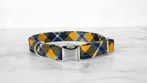 Dog Collar and Lead, Tartan with a Twist - Cornish