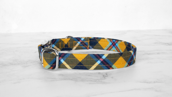 Dog Collar and Lead, Tartan with a Twist - Cornish