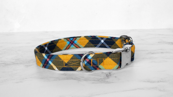 Dog Collar and Lead, Tartan with a Twist - Cornish