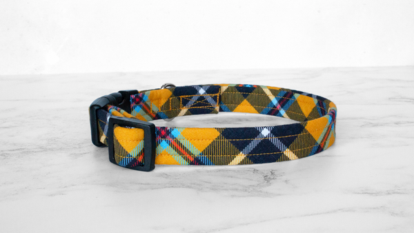 Dog Collar and Lead, Tartan with a Twist - Cornish
