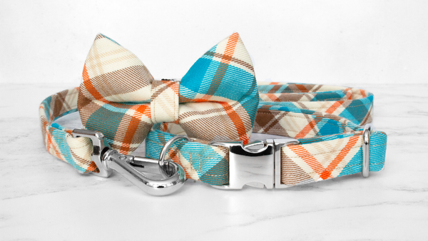 Dog Collar and Lead, Tartan with a Twist - Country Check