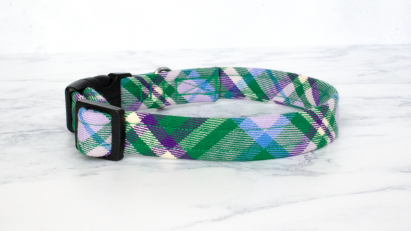 Dog Collar and Lead, Tartan with a Twist - Green and Purple