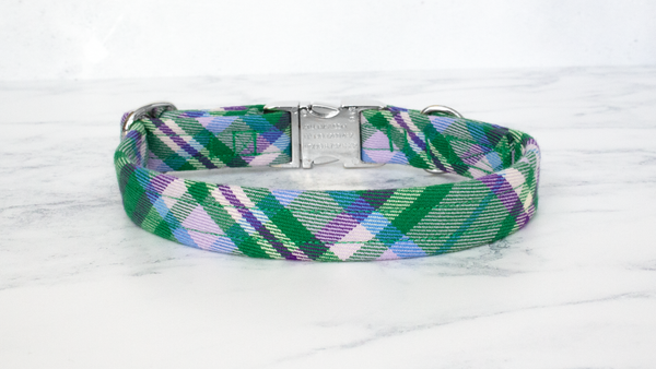 Dog Collar and Lead, Tartan with a Twist - Green and Purple