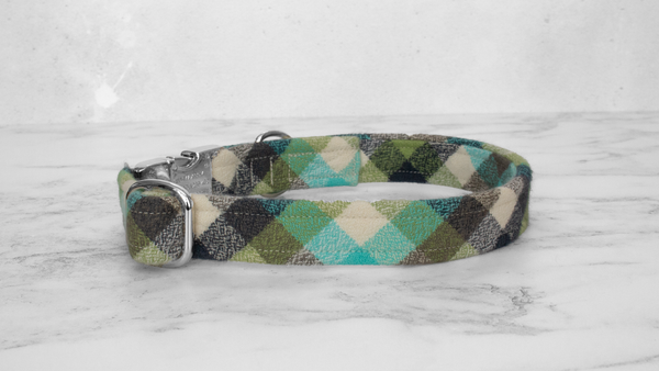Dog Collar and Lead, Tartan with a Twist - Turquoise Check
