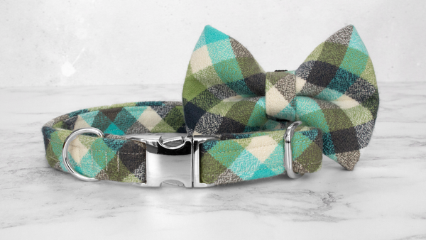 Dog Collar and Lead, Tartan with a Twist - Turquoise Check