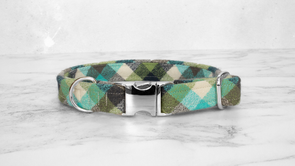 Dog Collar and Lead, Tartan with a Twist - Turquoise Check