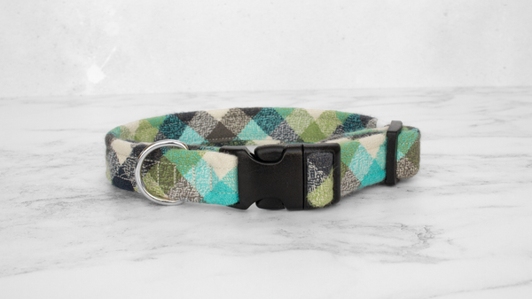 Dog Collar and Lead, Tartan with a Twist - Turquoise Check