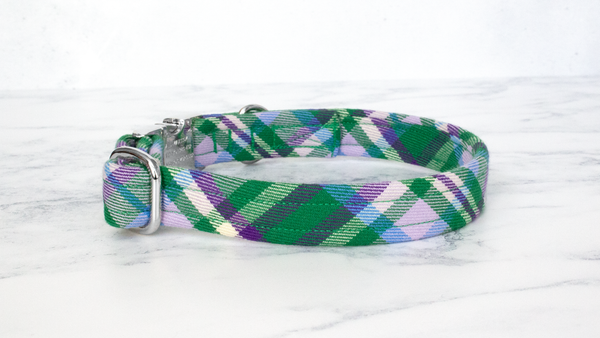 Dog Collar and Lead, Tartan with a Twist - Green and Purple