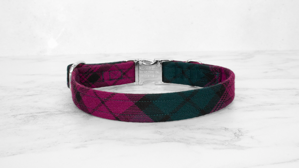 Dog Collar and Lead, Tartan with a Twist - Forest Green and Magenta