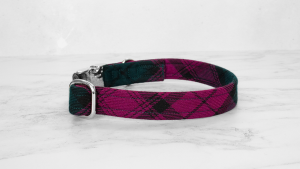 Dog Collar and Lead, Tartan with a Twist - Forest Green and Magenta
