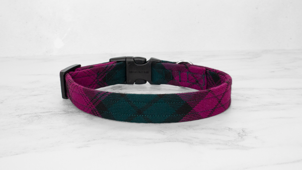 Dog Collar and Lead, Tartan with a Twist - Forest Green and Magenta