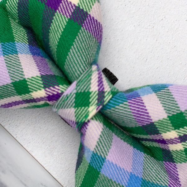 Dog Bow Ties, Tartan with a Twist - Green and Purple