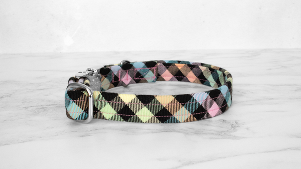 Dog Collar and Lead, Tartan with a Twist - Rainbow Checkerboard