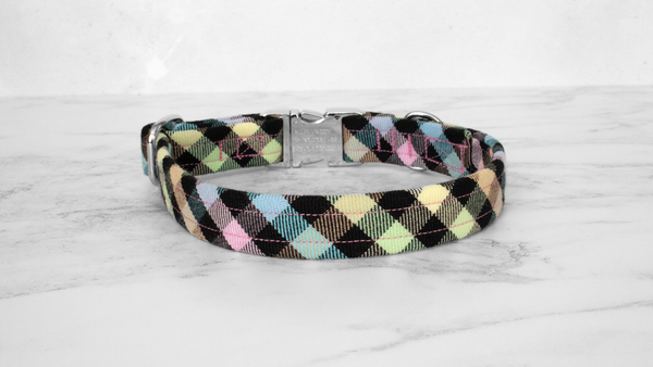 Dog Collar and Lead, Tartan with a Twist - Rainbow Checkerboard