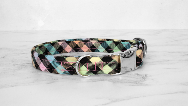 Dog Collar and Lead, Tartan with a Twist - Rainbow Checkerboard