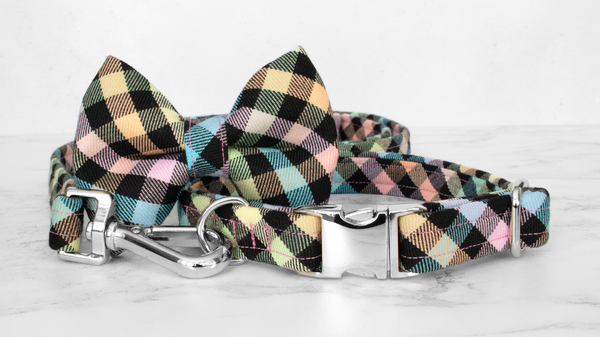 Dog Collar and Lead, Tartan with a Twist - Rainbow Checkerboard