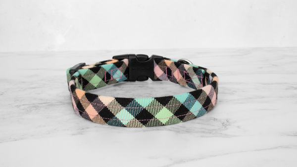 Dog Collar and Lead, Tartan with a Twist - Rainbow Checkerboard