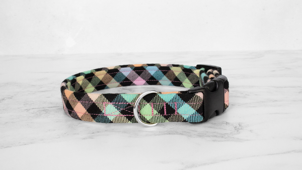 Dog Collar and Lead, Tartan with a Twist - Rainbow Checkerboard