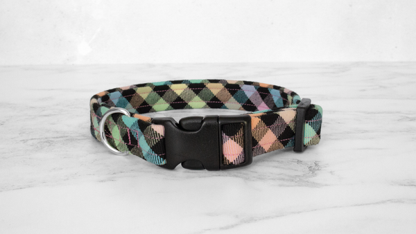 Dog Collar and Lead, Tartan with a Twist - Rainbow Checkerboard