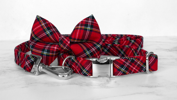 Dog Bow Ties, Tartan with a Twist - Royal Stewart