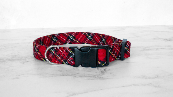 Dog Collar and Lead, Tartan with a Twist - Royal Stewart