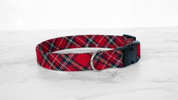 Dog Collar and Lead, Tartan with a Twist - Royal Stewart