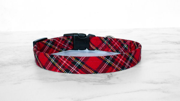 Dog Collar and Lead, Tartan with a Twist - Royal Stewart