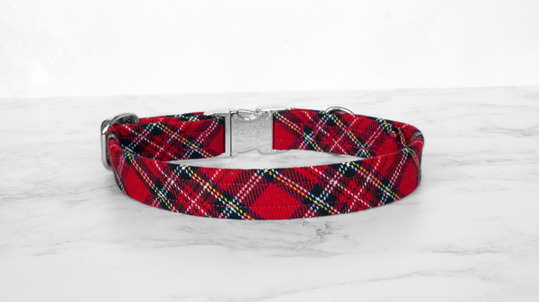 Dog Collar and Lead, Tartan with a Twist - Royal Stewart