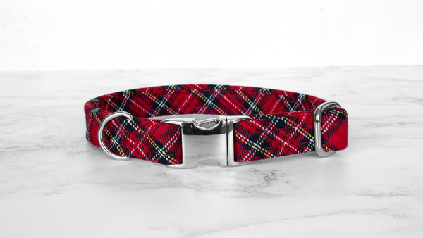 Dog Collar and Lead, Tartan with a Twist - Royal Stewart