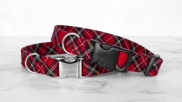 Dog Collar and Lead, Tartan with a Twist - Royal Stewart