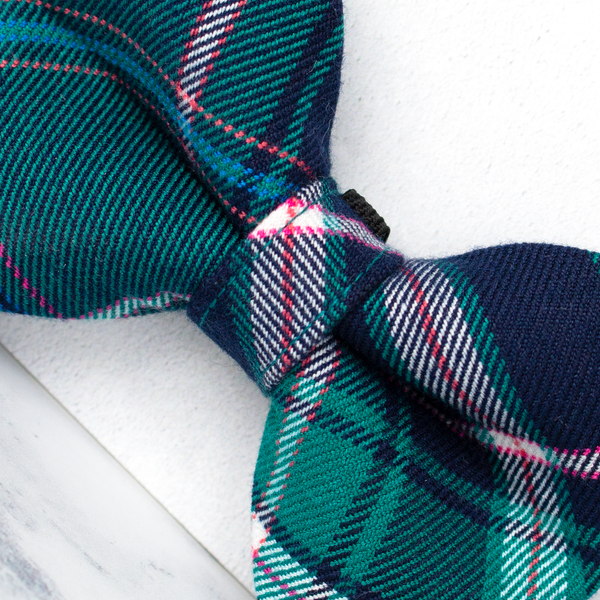 Dog Bow Ties, Tartan with a Twist - Turquoise and Pink